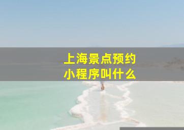 上海景点预约小程序叫什么