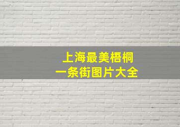 上海最美梧桐一条街图片大全