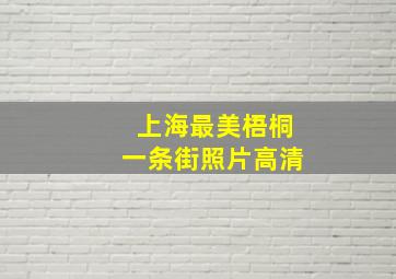 上海最美梧桐一条街照片高清