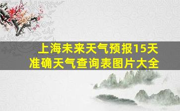 上海未来天气预报15天准确天气查询表图片大全