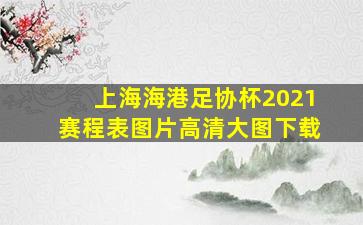 上海海港足协杯2021赛程表图片高清大图下载