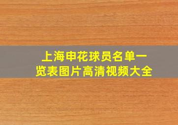 上海申花球员名单一览表图片高清视频大全