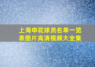 上海申花球员名单一览表图片高清视频大全集