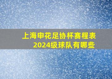 上海申花足协杯赛程表2024级球队有哪些