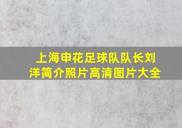 上海申花足球队队长刘洋简介照片高清图片大全