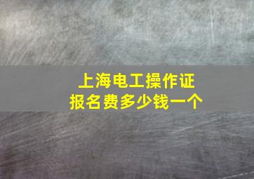 上海电工操作证报名费多少钱一个