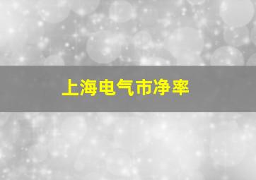 上海电气市净率