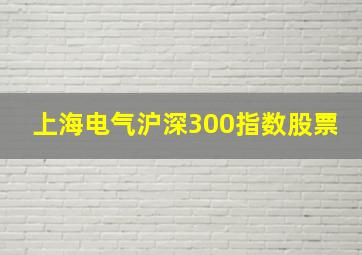 上海电气沪深300指数股票