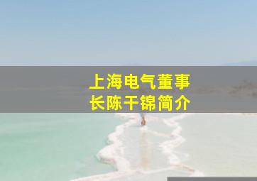 上海电气董事长陈干锦简介