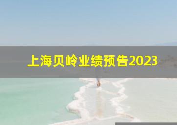 上海贝岭业绩预告2023