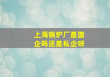 上海锅炉厂是国企吗还是私企呀