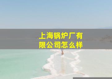 上海锅炉厂有限公司怎么样