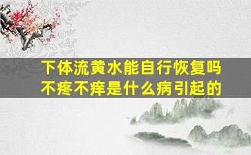 下体流黄水能自行恢复吗不疼不痒是什么病引起的