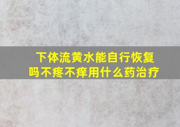 下体流黄水能自行恢复吗不疼不痒用什么药治疗