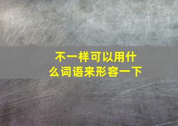 不一样可以用什么词语来形容一下