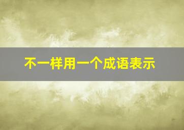 不一样用一个成语表示