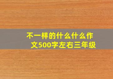 不一样的什么什么作文500字左右三年级