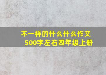 不一样的什么什么作文500字左右四年级上册