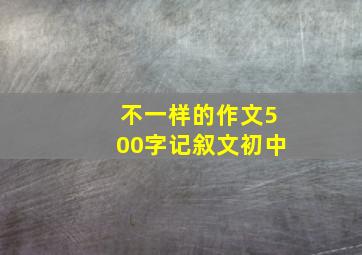 不一样的作文500字记叙文初中