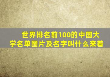 世界排名前100的中国大学名单图片及名字叫什么来着