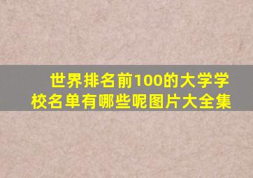 世界排名前100的大学学校名单有哪些呢图片大全集