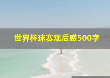 世界杯球赛观后感500字