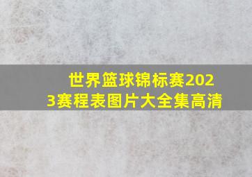 世界篮球锦标赛2023赛程表图片大全集高清