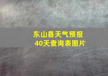 东山县天气预报40天查询表图片