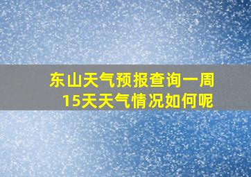 东山天气预报查询一周15天天气情况如何呢