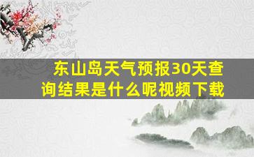 东山岛天气预报30天查询结果是什么呢视频下载