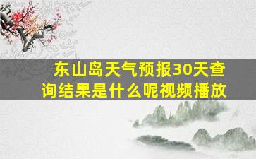 东山岛天气预报30天查询结果是什么呢视频播放