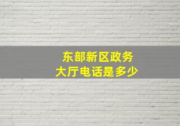 东部新区政务大厅电话是多少