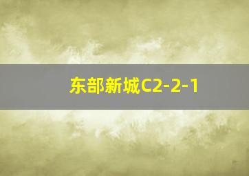 东部新城C2-2-1