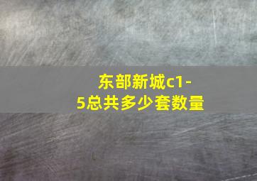 东部新城c1-5总共多少套数量