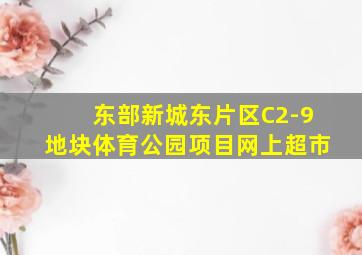 东部新城东片区C2-9地块体育公园项目网上超市