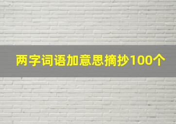 两字词语加意思摘抄100个