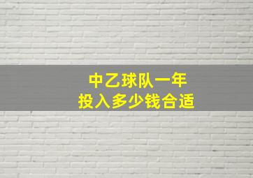 中乙球队一年投入多少钱合适