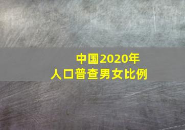 中国2020年人口普查男女比例