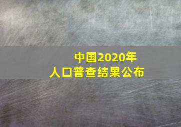 中国2020年人口普查结果公布