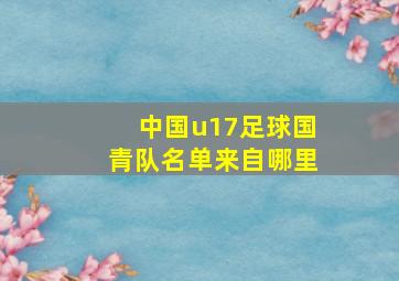 中国u17足球国青队名单来自哪里