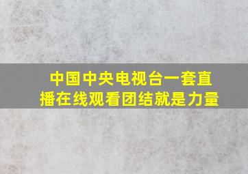 中国中央电视台一套直播在线观看团结就是力量