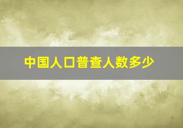 中国人口普查人数多少