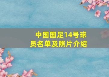 中国国足14号球员名单及照片介绍