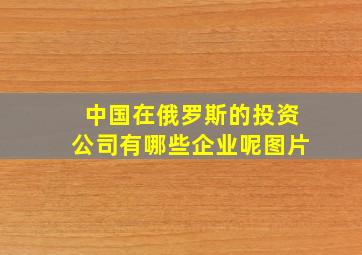 中国在俄罗斯的投资公司有哪些企业呢图片