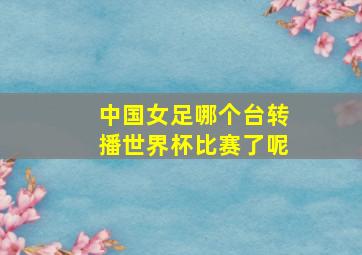 中国女足哪个台转播世界杯比赛了呢