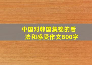 中国对韩国集锦的看法和感受作文800字