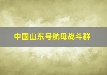 中国山东号航母战斗群