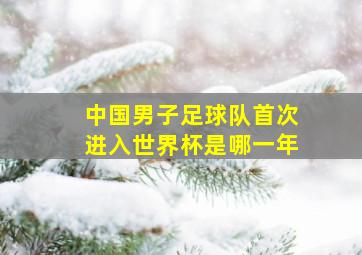 中国男子足球队首次进入世界杯是哪一年