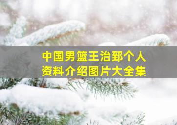 中国男篮王治郅个人资料介绍图片大全集