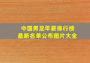 中国男足年薪排行榜最新名单公布图片大全